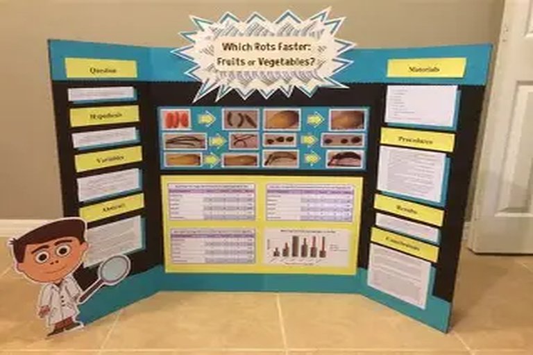 Alumnos del CEIP Ciudad Pegaso ganan concurso de ciencia ciudadana